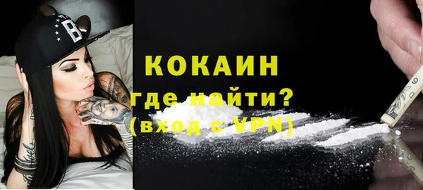 индика Новодвинск