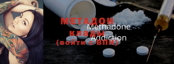прущие грибы Бородино