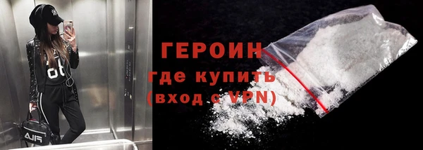 индика Новодвинск