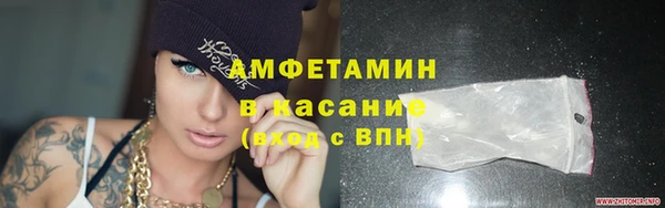 шишки Беломорск