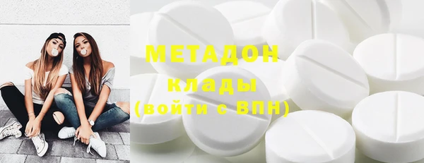 прущие грибы Бородино