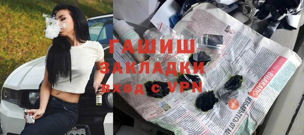 прущие грибы Бородино