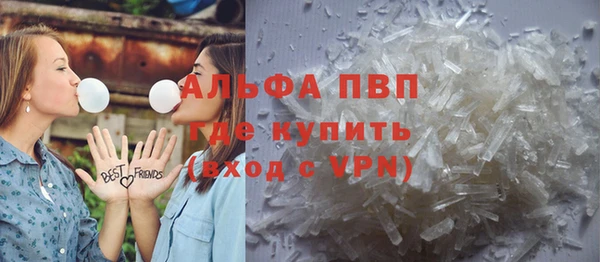 индика Новодвинск