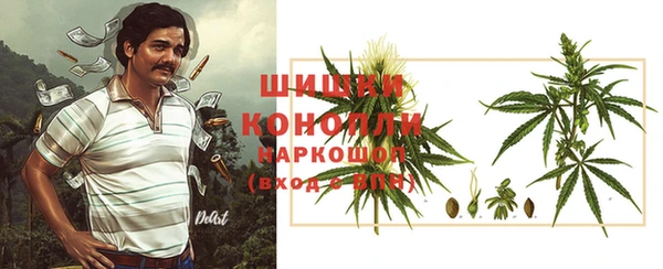 индика Новодвинск