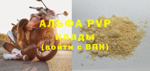 прущие грибы Бородино