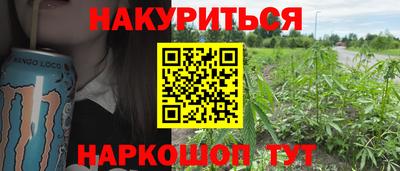 сатива Новодвинск