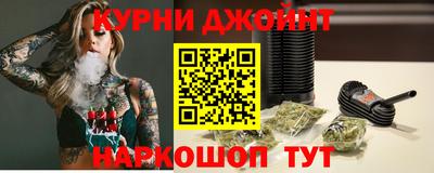 сатива Новодвинск