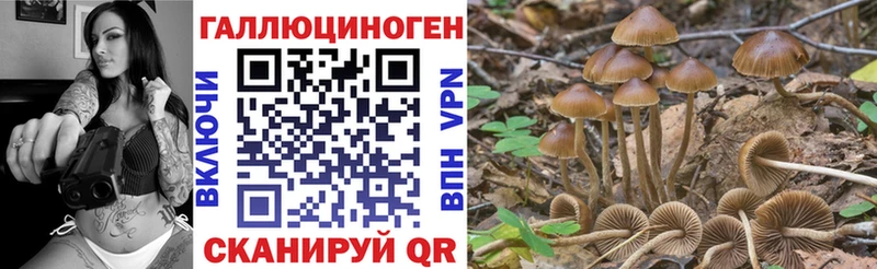 Псилоцибиновые грибы прущие грибы  закладки  Северск 